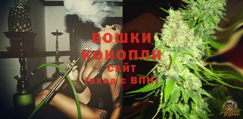 Бошки марихуана SATIVA & INDICA  где можно купить наркотик  гидра   Белоозёрский 